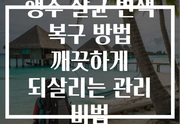 행주 살균 변색 복구 방법 깨끗하게 되살리는 관리 비법
