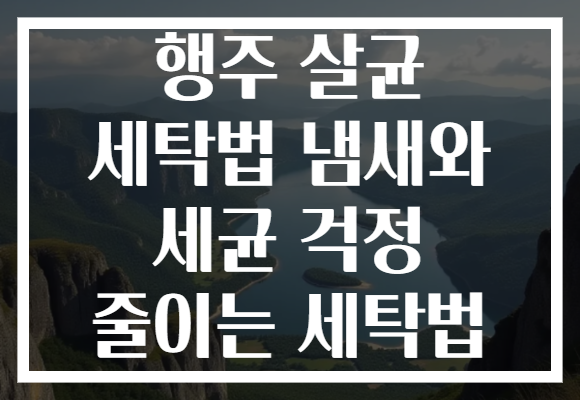 행주 살균 세탁법 냄새와 세균 걱정 줄이는 세탁법