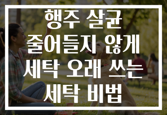 행주 살균 줄어들지 않게 세탁 오래 쓰는 세탁 비법