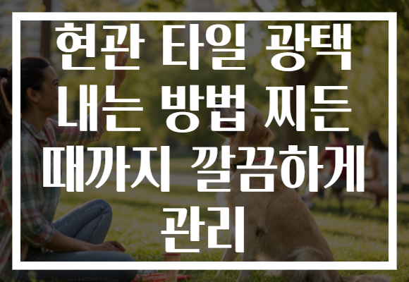 현관 타일 광택 내는 방법 찌든 때까지 깔끔하게 관리