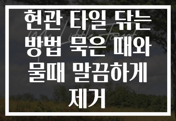 현관 타일 닦는 방법 묵은 때와 물때 말끔하게 제거