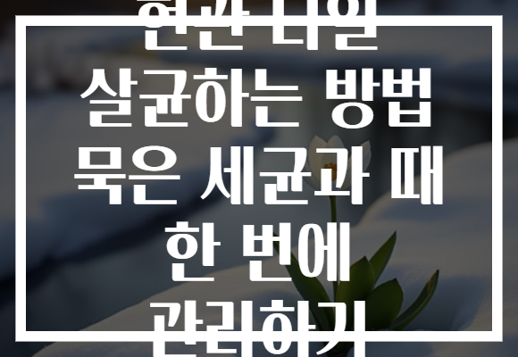 현관 타일 살균하는 방법 묵은 세균과 때 한 번에 관리하기