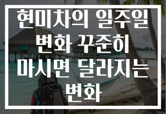 현미차의 일주일 변화 꾸준히 마시면 달라지는 변화