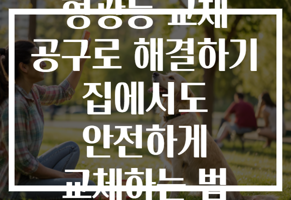 형광등 교체 공구로 해결하기 집에서도 안전하게 교체하는 법