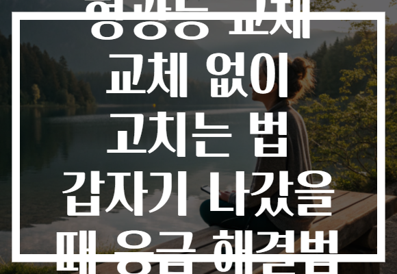 형광등 교체 교체 없이 고치는 법 갑자기 나갔을 때 응급 해결법