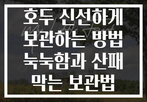 호두 신선하게 보관하는 방법 눅눅함과 산패 막는 보관법