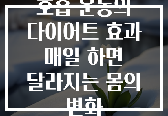 호흡 운동의 다이어트 효과 매일 하면 달라지는 몸의 변화
