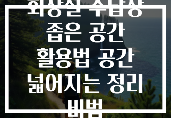 화장실 수납장 좁은 공간 활용법 공간 넓어지는 정리 비법