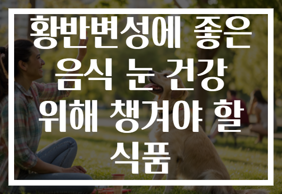 황반변성에 좋은 음식 눈 건강 위해 챙겨야 할 식품
