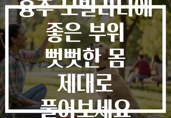흉추 모빌리티에 좋은 부위 뻣뻣한 몸 제대로 풀어보세요