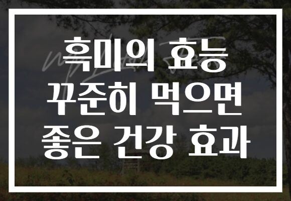 흑미의 효능 꾸준히 먹으면 좋은 건강 효과