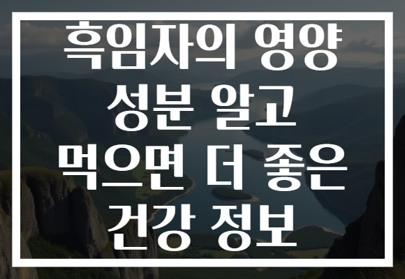흑임자의 영양 성분 알고 먹으면 더 좋은 건강 정보