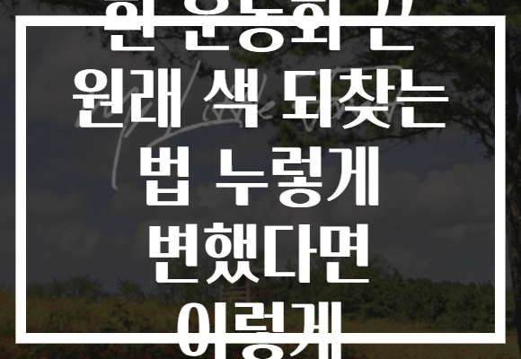 흰 운동화 끈 원래 색 되찾는 법 누렇게 변했다면 이렇게