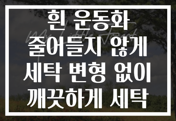 흰 운동화 줄어들지 않게 세탁 변형 없이 깨끗하게 세탁