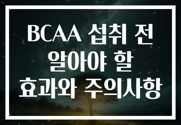 BCAA 섭취 전 알아야 할 효과와 주의사항