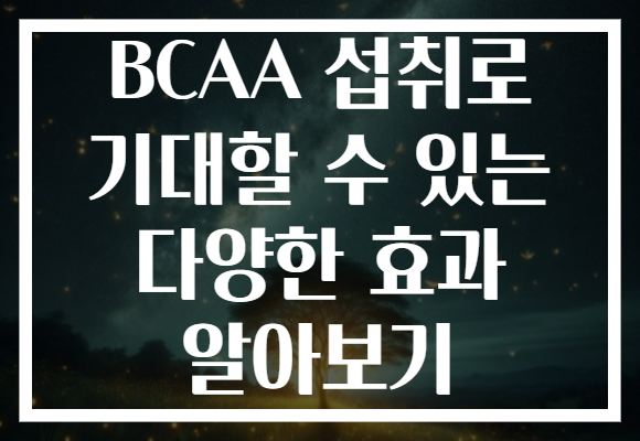 BCAA 섭취로 기대할 수 있는 다양한 효과 알아보기