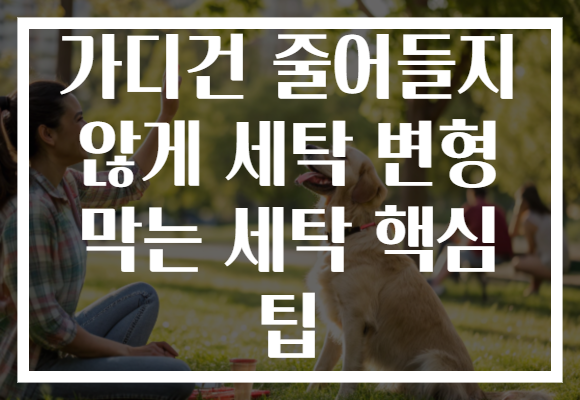 가디건 줄어들지 않게 세탁 변형 막는 세탁 핵심 팁