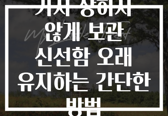 가지 상하지 않게 보관 신선함 오래 유지하는 간단한 방법
