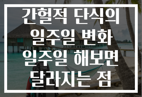 간헐적 단식의 일주일 변화 일주일 해보면 달라지는 점