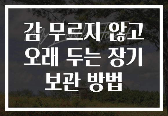 감 무르지 않고 오래 두는 장기 보관 방법