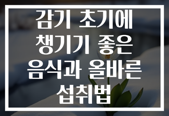 감기 초기에 챙기기 좋은 음식과 올바른 섭취법