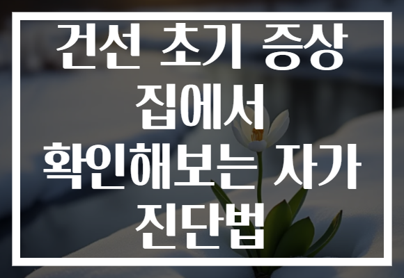 건선 초기 증상 집에서 확인해보는 자가 진단법