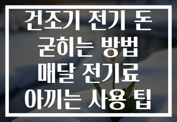 건조기 전기 돈 굳히는 방법 매달 전기료 아끼는 사용 팁