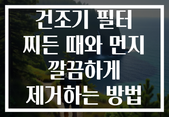 건조기 필터 찌든 때와 먼지 깔끔하게 제거하는 방법