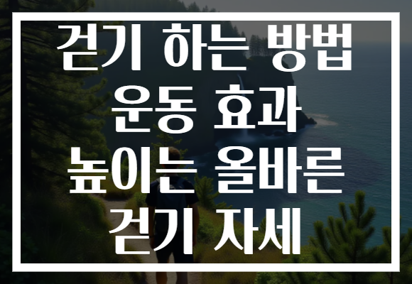 걷기 하는 방법 운동 효과 높이는 올바른 걷기 자세