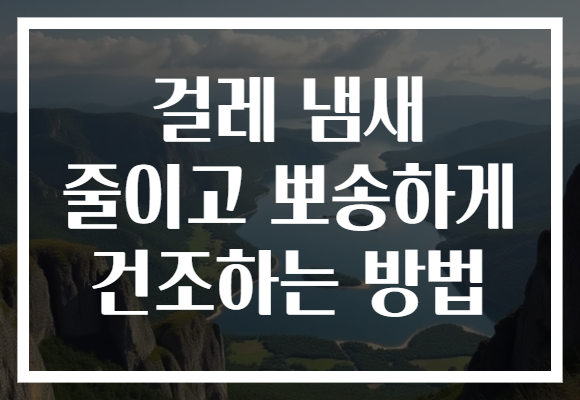 걸레 냄새 줄이고 뽀송하게 건조하는 방법