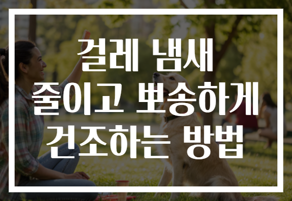 걸레 냄새 줄이고 뽀송하게 건조하는 방법