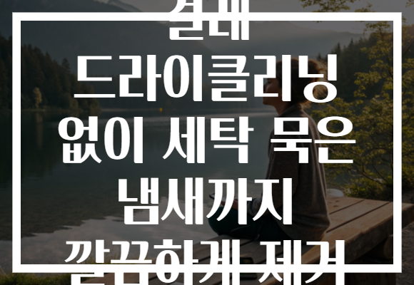 걸레 드라이클리닝 없이 세탁 묵은 냄새까지 깔끔하게 제거