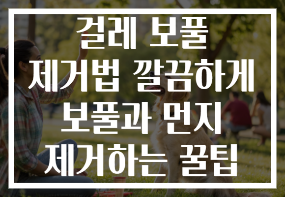 걸레 보풀 제거법 깔끔하게 보풀과 먼지 제거하는 꿀팁