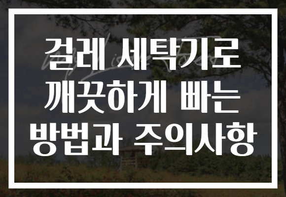 걸레 세탁기로 깨끗하게 빠는 방법과 주의사항
