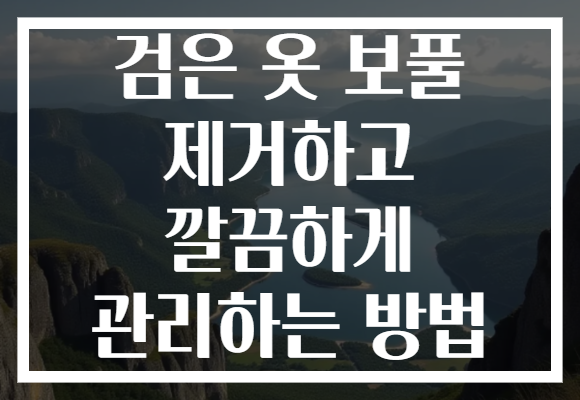 검은 옷 보풀 제거하고 깔끔하게 관리하는 방법