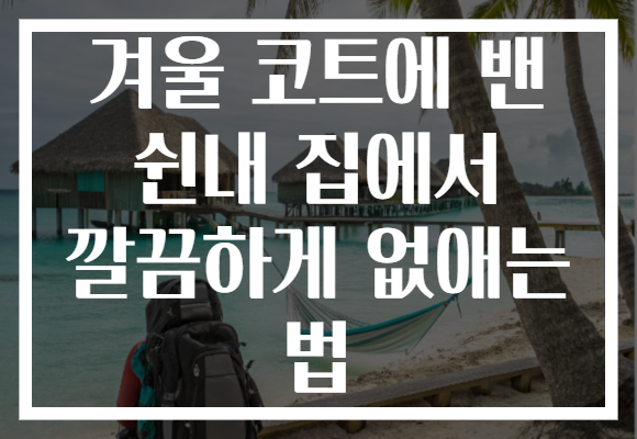겨울 코트에 밴 쉰내 집에서 깔끔하게 없애는 법