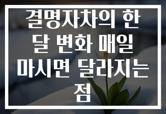 결명자차의 한 달 변화 매일 마시면 달라지는 점