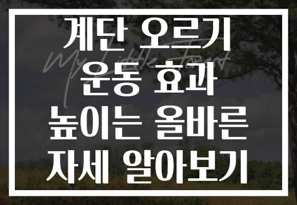 계단 오르기 운동 효과 높이는 올바른 자세 알아보기