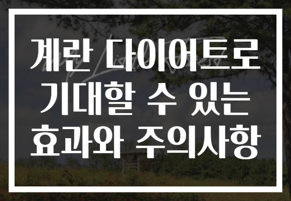 계란 다이어트로 기대할 수 있는 효과와 주의사항