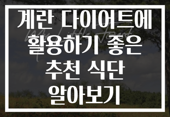 계란 다이어트에 활용하기 좋은 추천 식단 알아보기