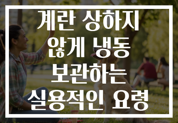 계란 상하지 않게 냉동 보관하는 실용적인 요령