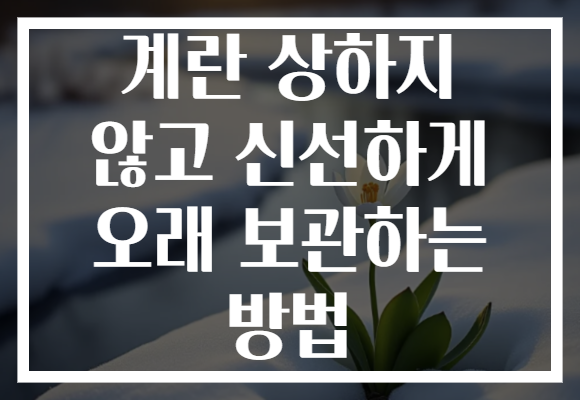 계란 상하지 않고 신선하게 오래 보관하는 방법
