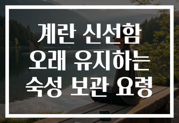 계란 신선함 오래 유지하는 숙성 보관 요령