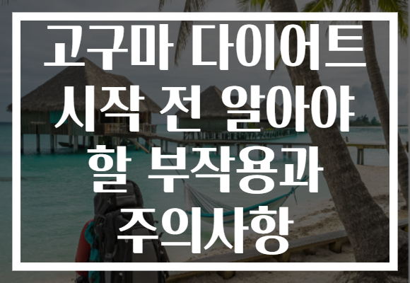 고구마 다이어트 시작 전 알아야 할 부작용과 주의사항