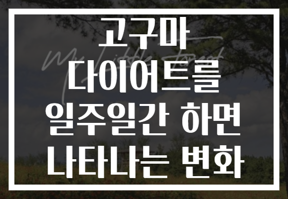 고구마 다이어트를 일주일간 하면 나타나는 변화