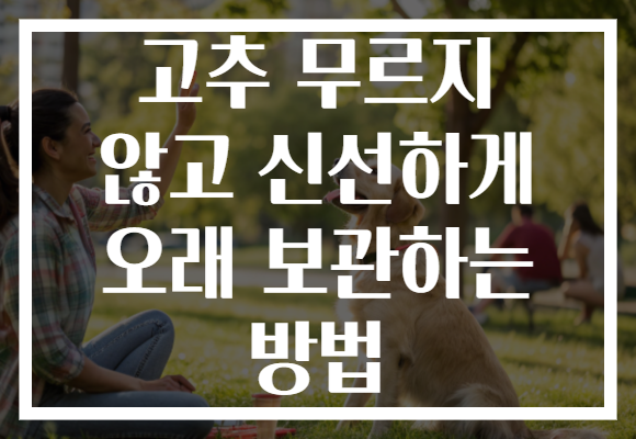 고추 무르지 않고 신선하게 오래 보관하는 방법
