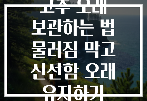 고추 오래 보관하는 법 물러짐 막고 신선함 오래 유지하기