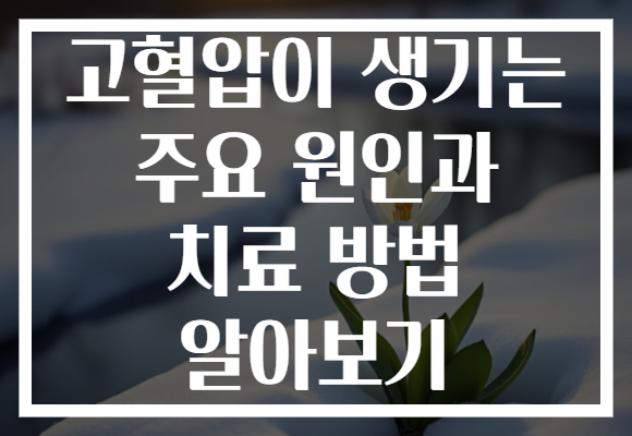 고혈압이 생기는 주요 원인과 치료 방법 알아보기