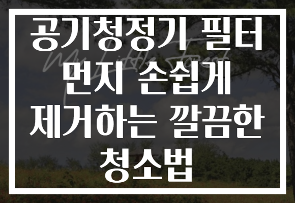 공기청정기 필터 먼지 손쉽게 제거하는 깔끔한 청소법