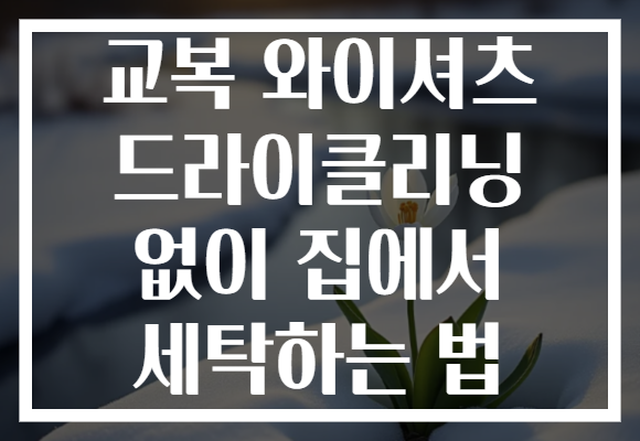 교복 와이셔츠 드라이클리닝 없이 집에서 세탁하는 법